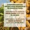 Vencimentos das sementes de milho safra e safrinha 2020/2021
