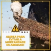Alerta para evitar a mortandade de abelhas