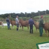 9º CONCURSO MORFOLÓGICO
